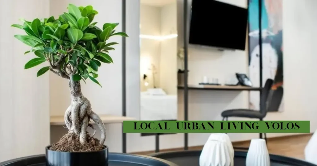 local urban living volos